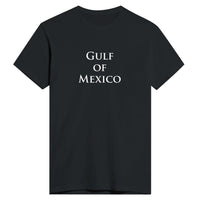 Gulf of Mexico Men's T-Shirts and Hoodies